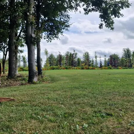 民宿 Littlefield Durrow, Laois 达罗