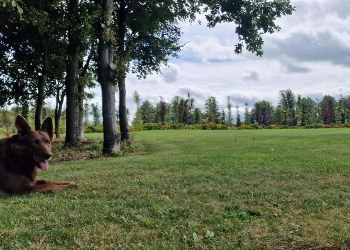 Accommodatie bij particulieren Littlefield Durrow, Laois Durrow